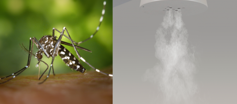 Cómo reducir las picaduras de los mosquitos entre un 45% y un 60% sin utilizar productos químicos.